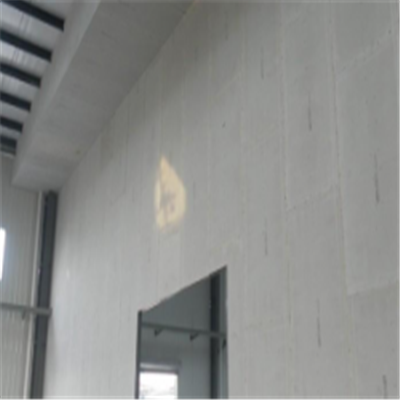云溪宁波ALC板|EPS加气板隔墙与混凝土整浇联接的实验研讨